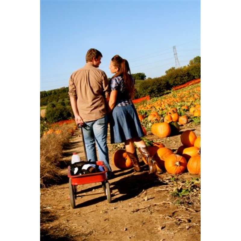 pumpkin10.jpg