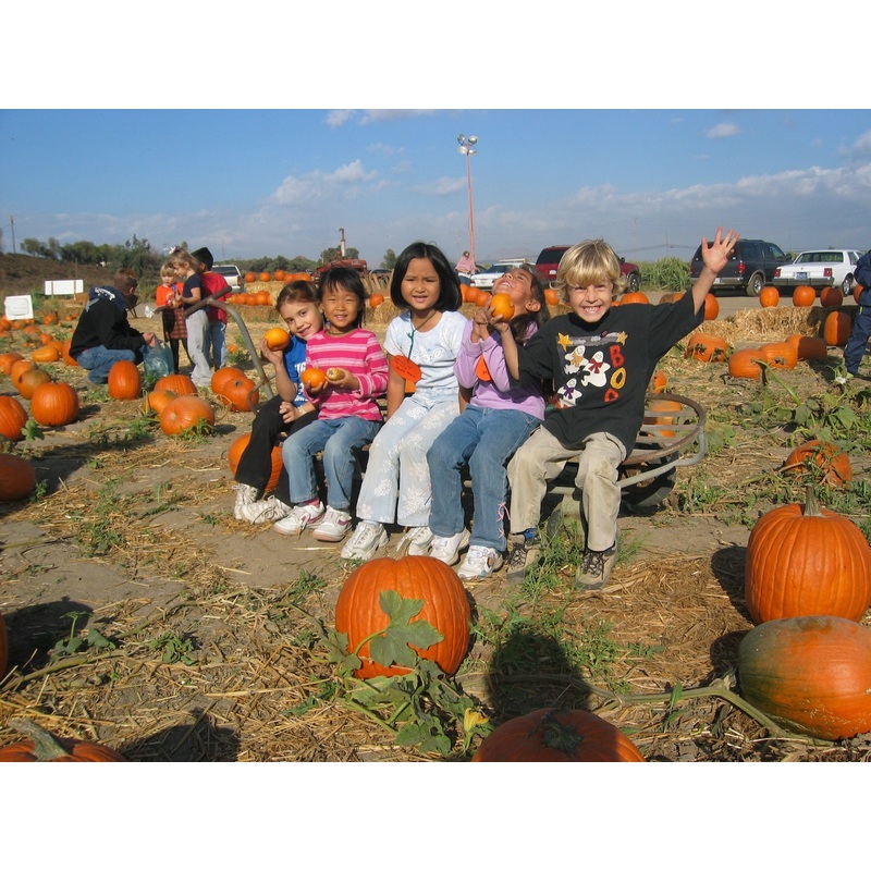 pumpkin12.jpg