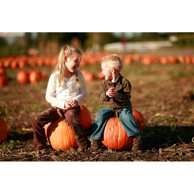 pumpkin2.jpg