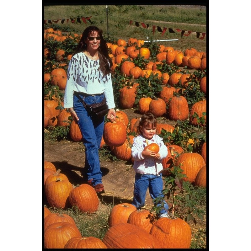 pumpkin20.jpg