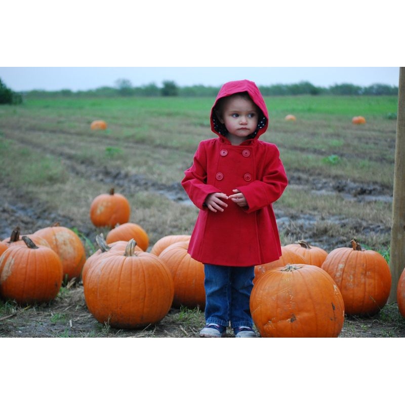 pumpkin22.jpg