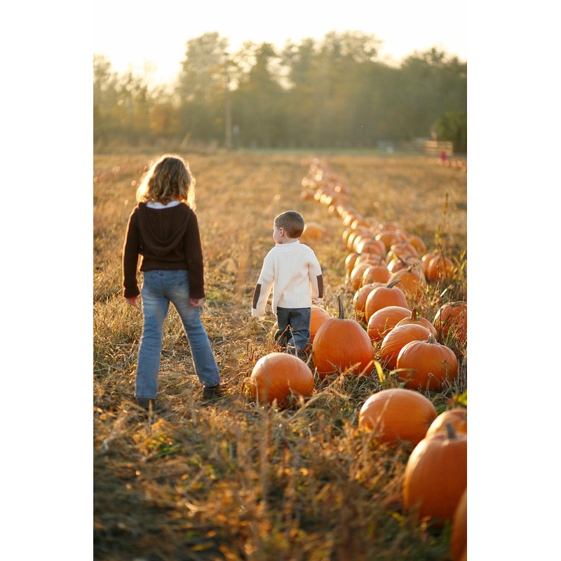 pumpkin3.jpg