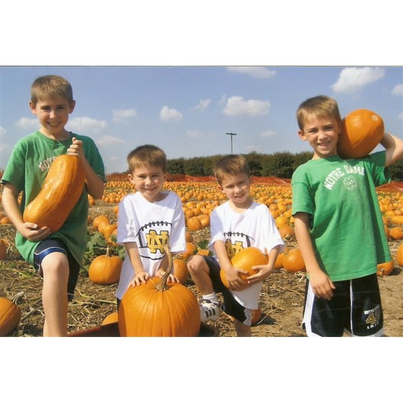 pumpkin6.jpg