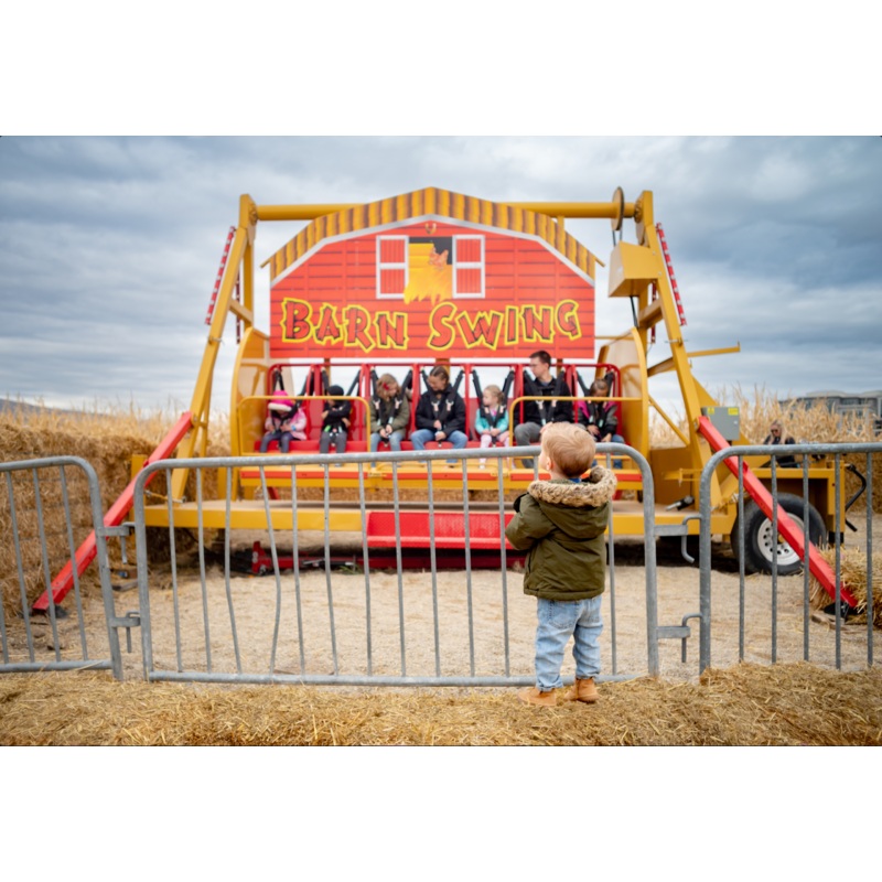 Rides_Barn Swing_Little Boy looking on 1_RJ.jpg