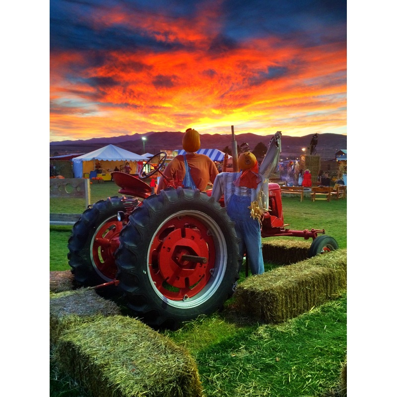 Tractor_Scarecrow_Sunset.JPG