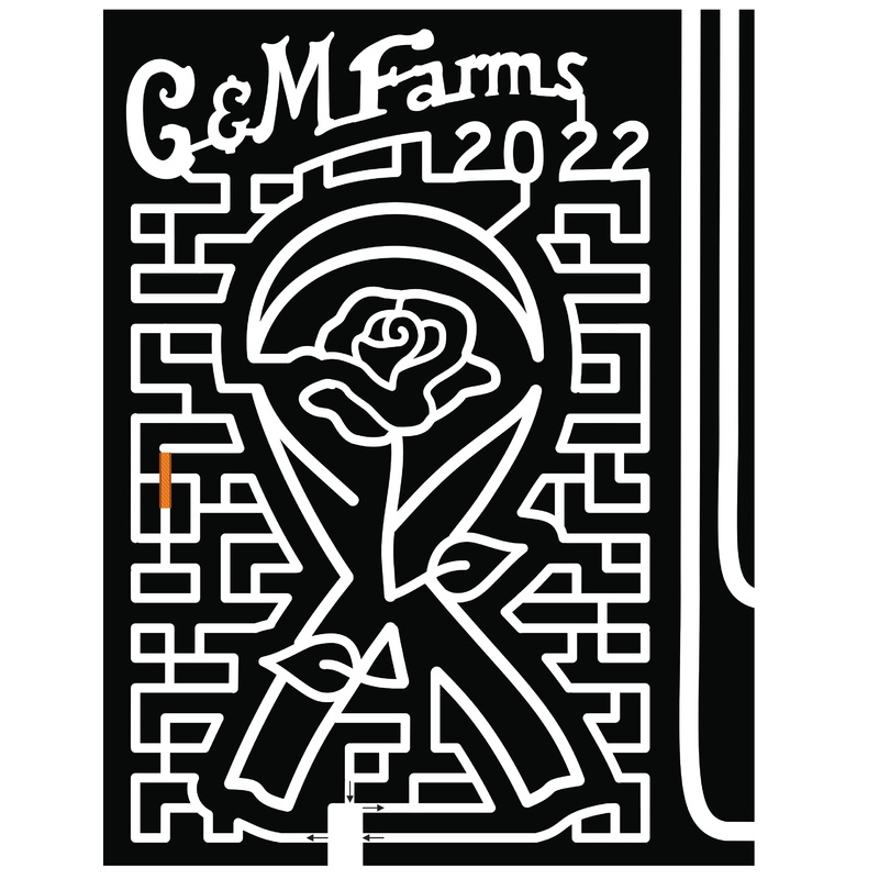 22_CA_Livermore Rose Ribbon Cancer Awareness