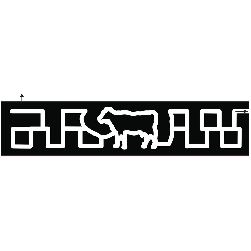 22_FL_Miami Cow