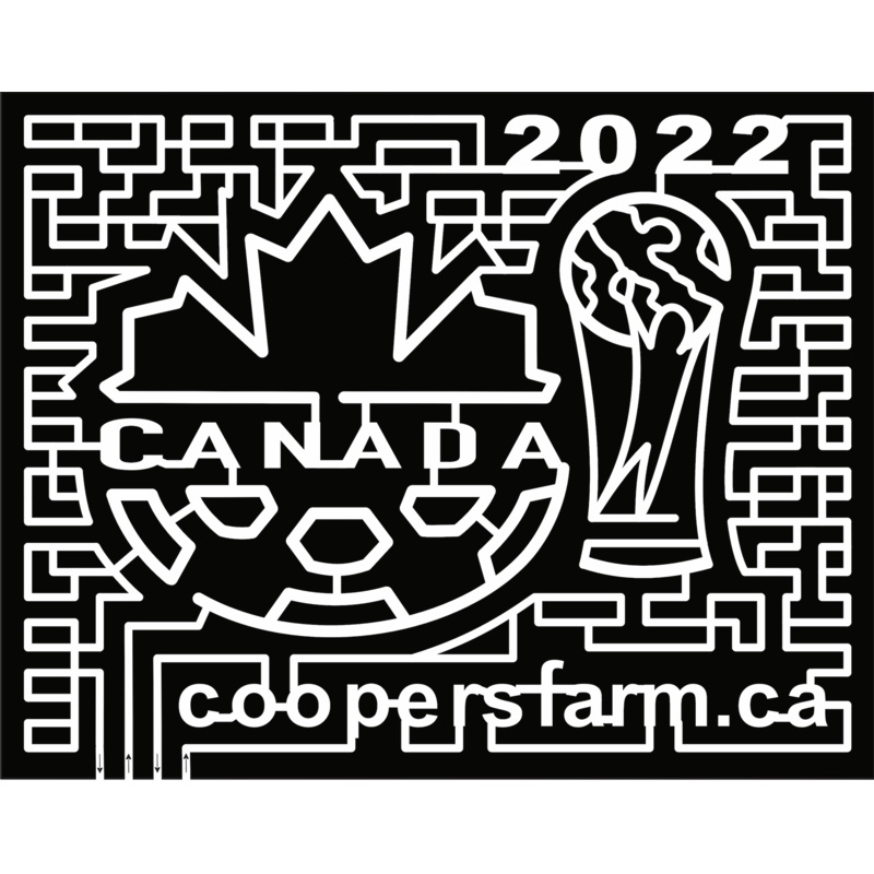 22_ONT_Zephyr canada, soccer, flag, trophy, World Cup