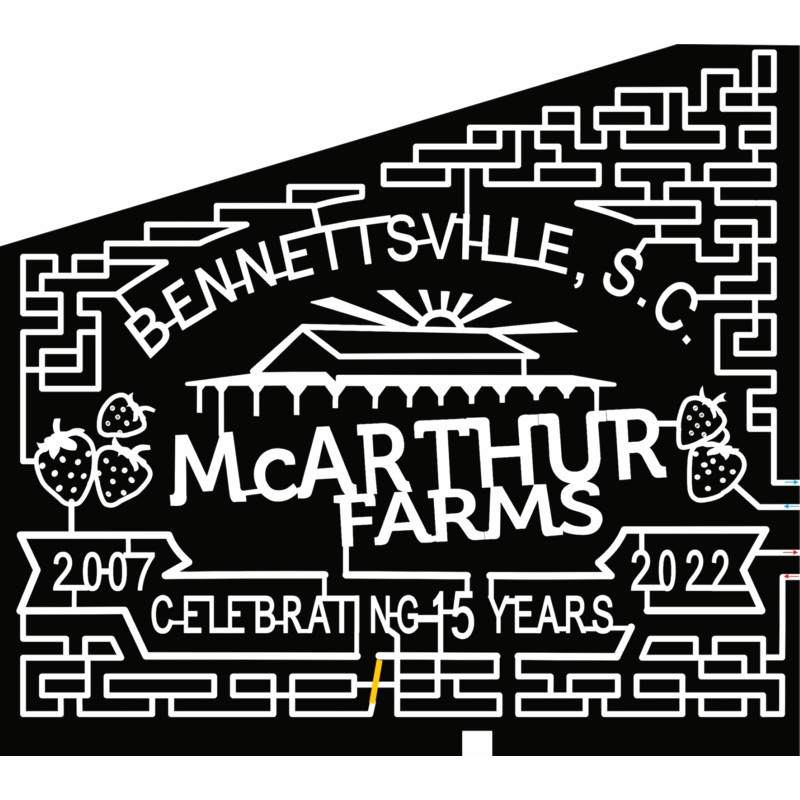 22_SC_Bennettsville farm, strawberry, 15 years, anniversary, building, barn, sun