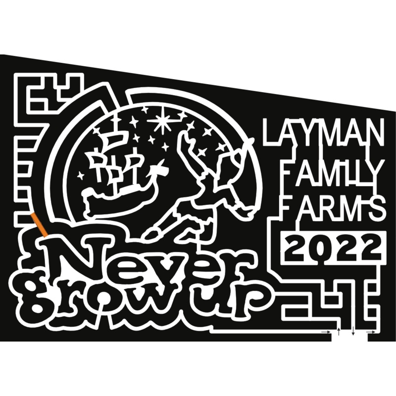 22_VA_Roanoke Peter Pan, pirate ship, star, movie