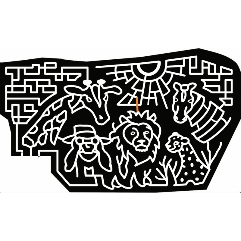 22_VT_Guilford animals, zoo, lion, zebra, giraffe, leopard, sun