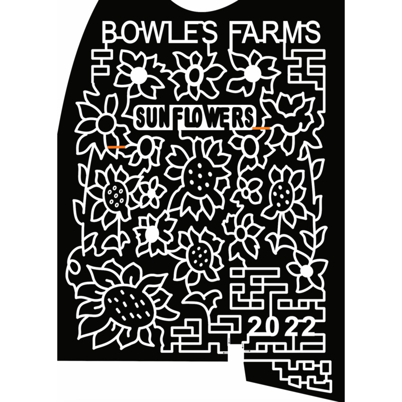 22_MD_Loveville Sunflowers