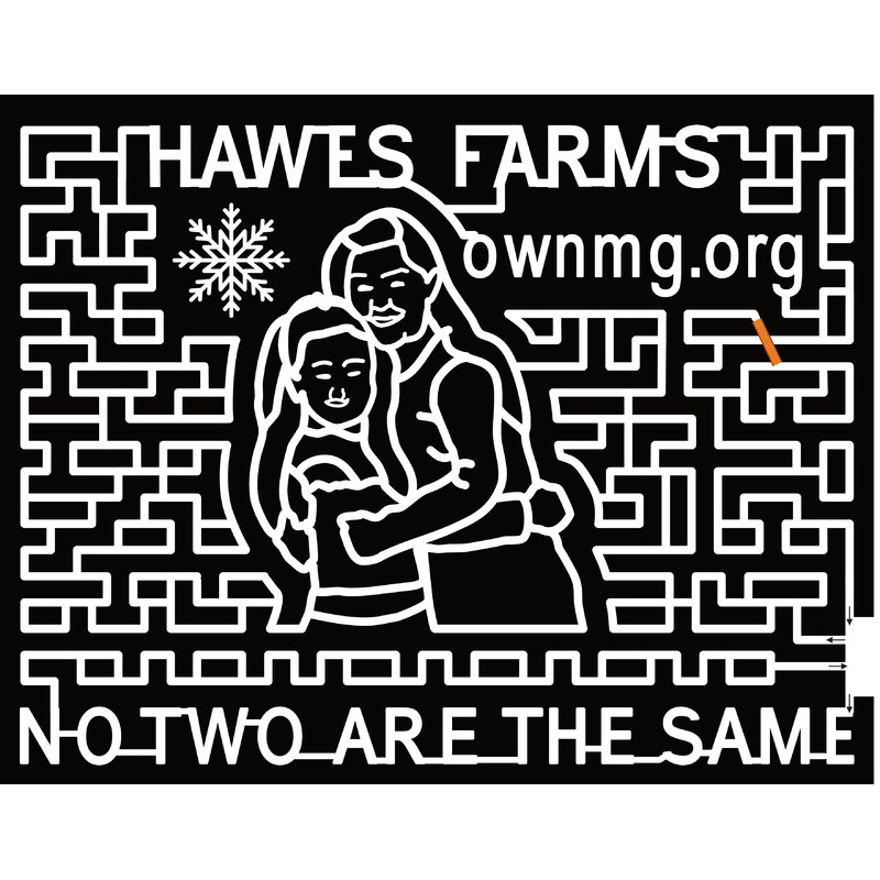 23_CA_Anderson ownmg.org, No Two Are The Same, Snowflake, People, Hug