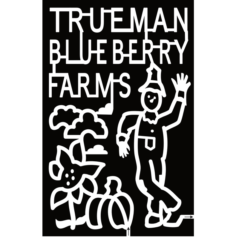 23_NB_Aulac2 Trueman Blueberry Farms, Cloud, Flower, Pumpkin, Scarecrow