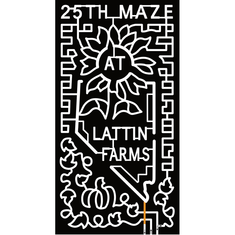 23_NV_Fallon 25th Maze at Lattin Farms, Sunflower, Nevada state, Pumpkin, Leaves