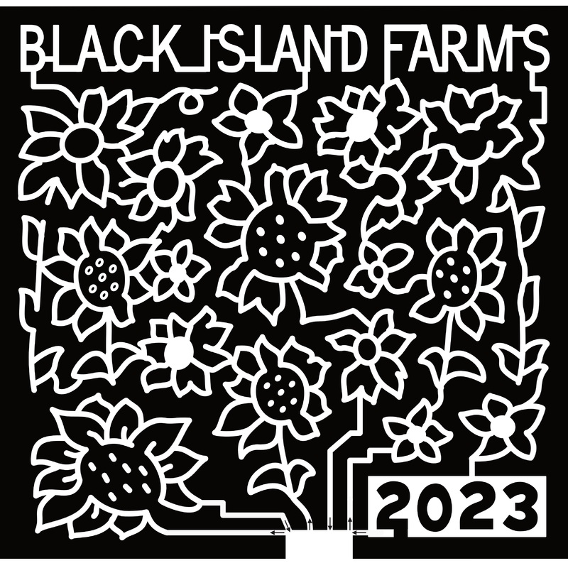 23_UT_Layton Sunflower, Black Island Farms, 2023