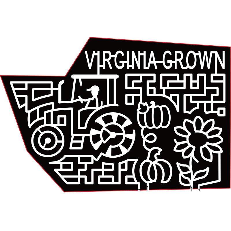 23_VA_Buffalo Junction Virginia Grown, Sunflower, Pumpkin, Tractor