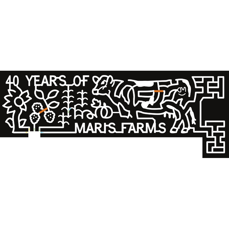 23_WA_Buckley 40 Years of Maris Farms, Cow, CM, Pumpkin, Corn, Berry, Sunflower