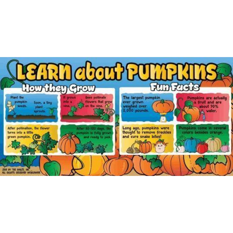 Pumpkin Education Banner
