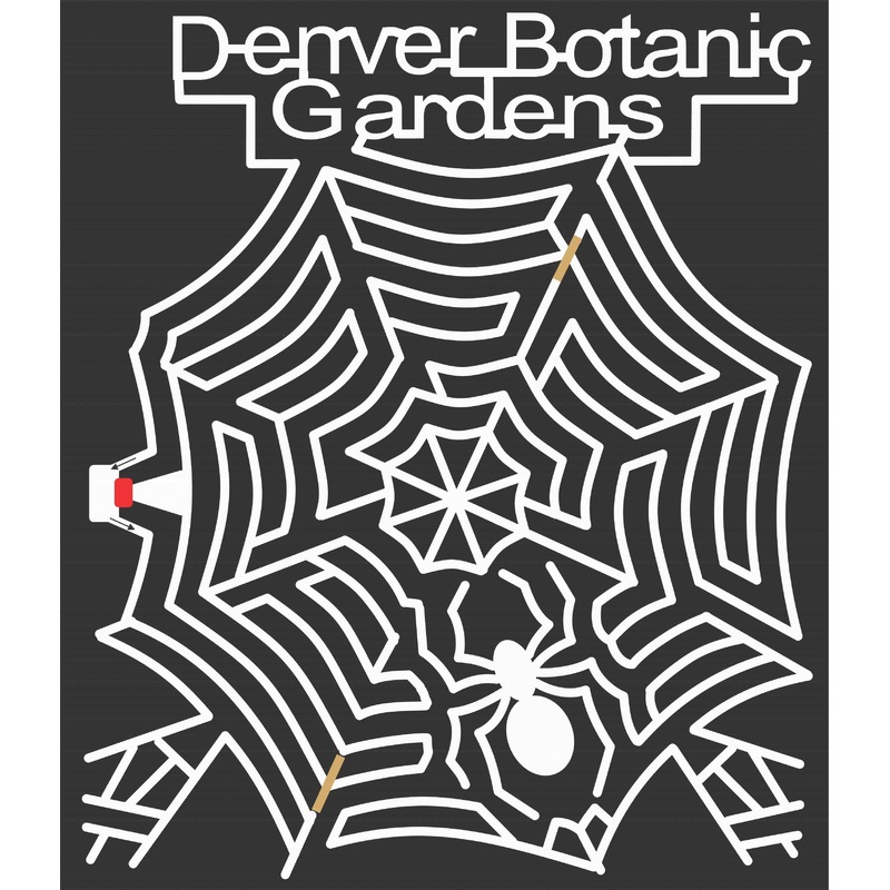 06_CO_Littleton A Colorado, spiderweb, Spider