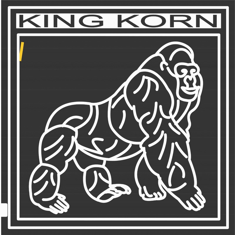 06_IN_Danville A Indiana, gorilla, King kong, ape, Animal