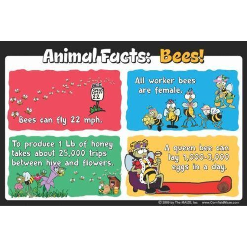 Bees Education Sign