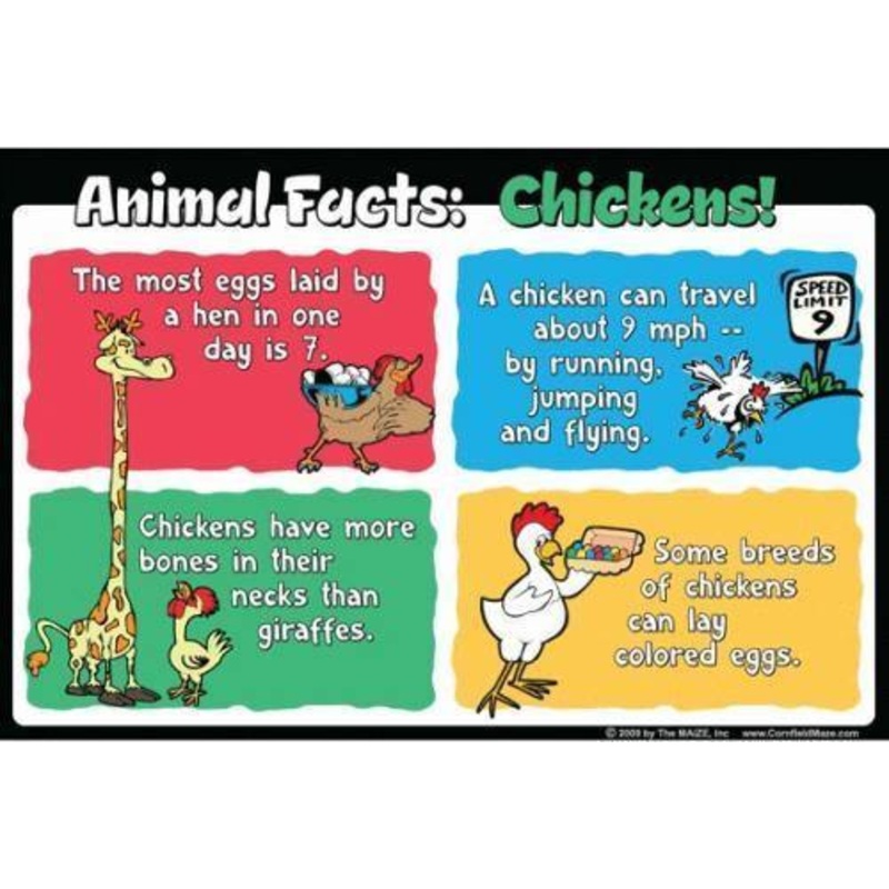 Chicken Education Sign