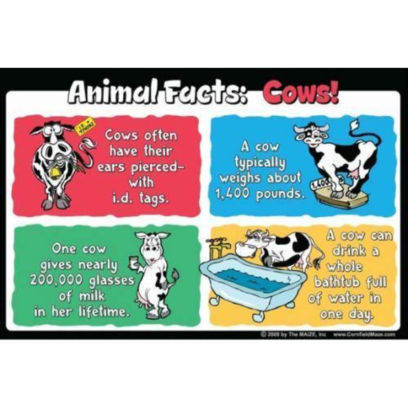 Cow Education Sign