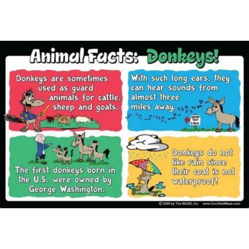 Donkey Education Sign