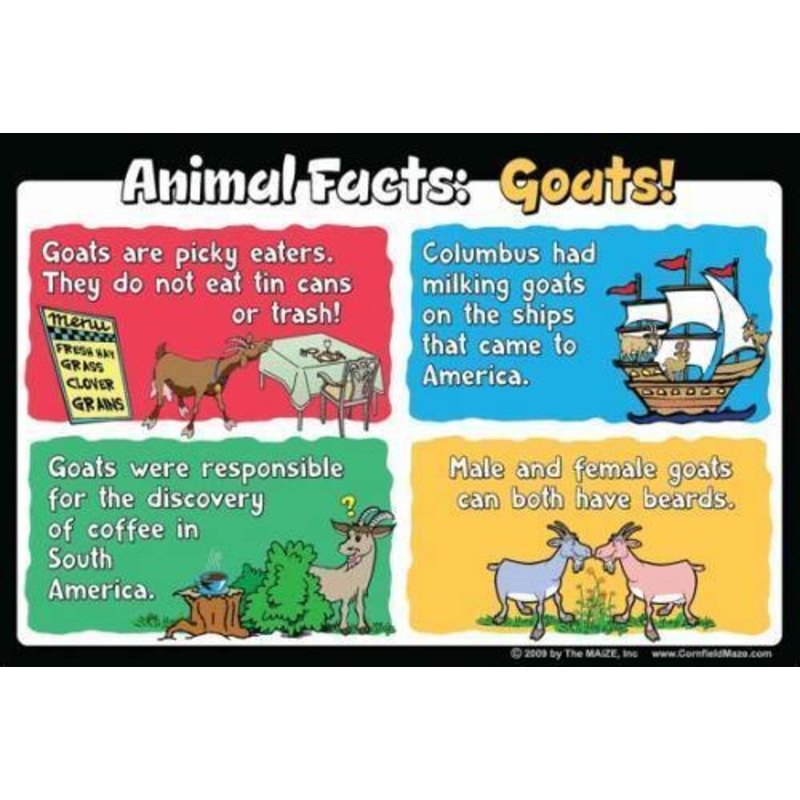 Goat Education Sign