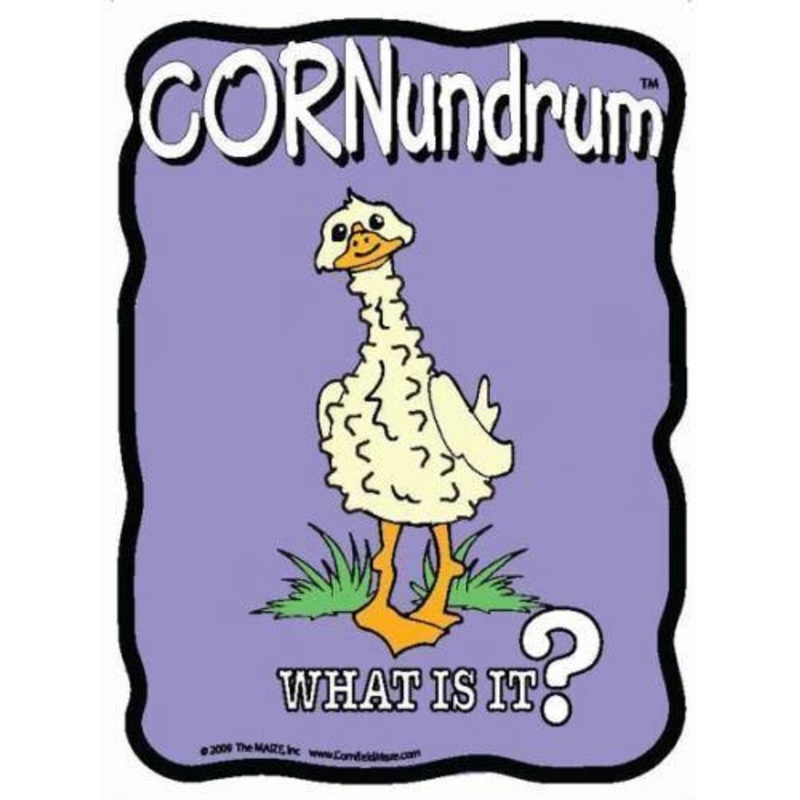 Goosebumps Cornundrum