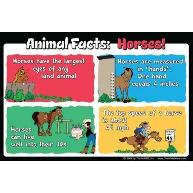 Horse Education Sign