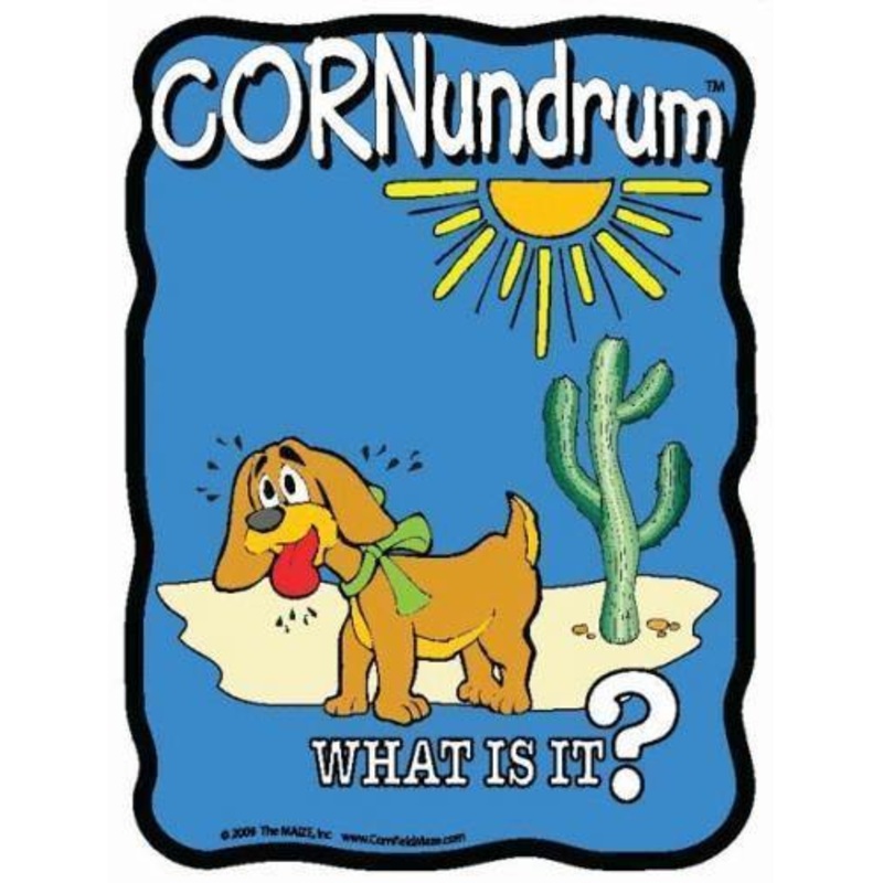 Hotdog Cornundrum
