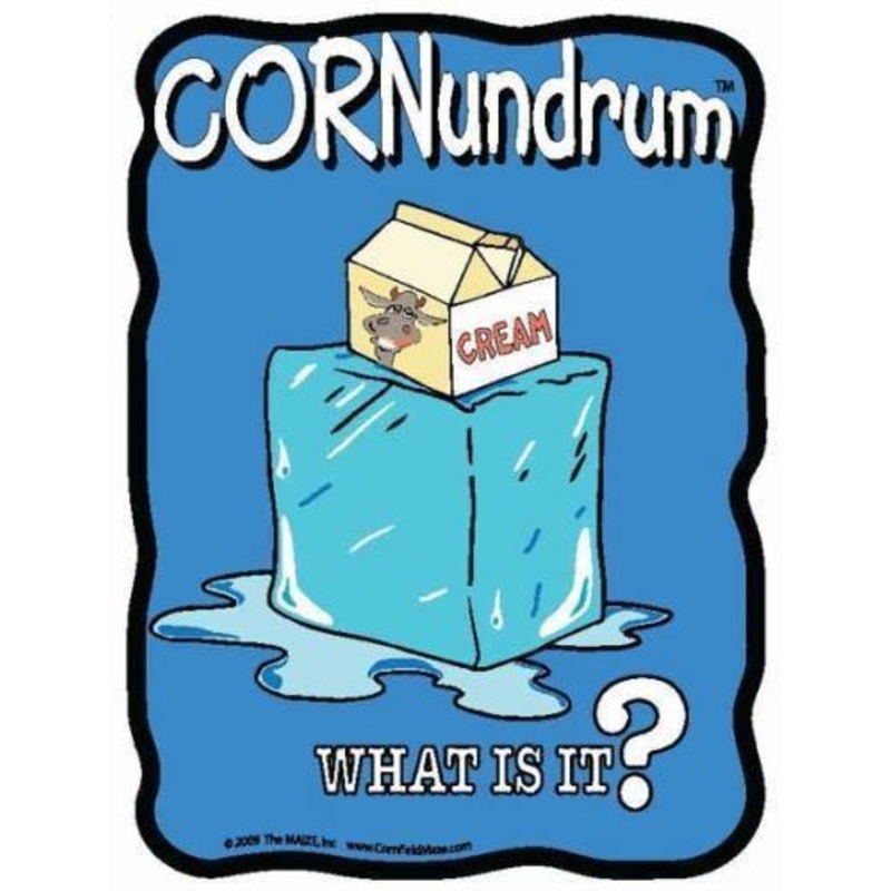 Ice Cream Cornundrum