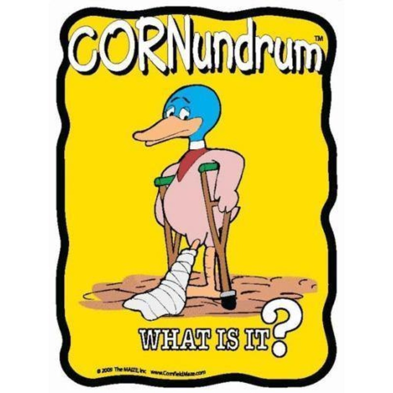 Lame Duck Cornundrum