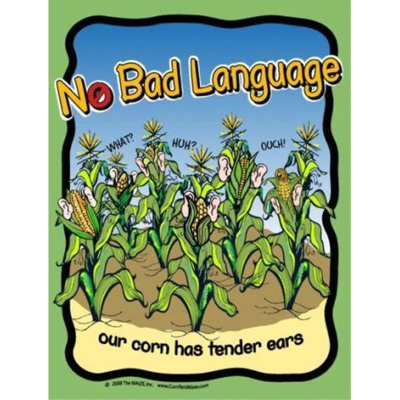 No Profanity Sign