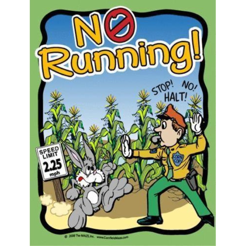 No Running Sign