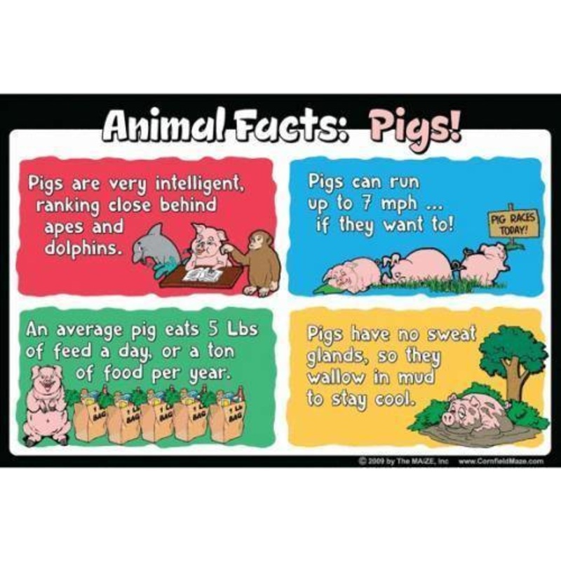 Pig Education Sign
