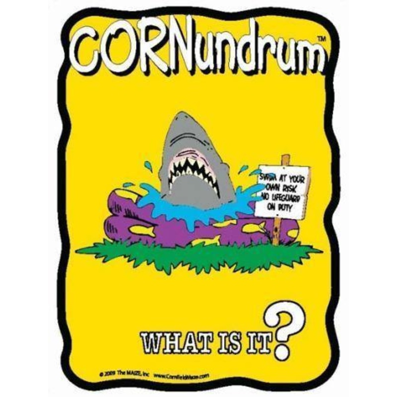 Pool Shark Cornundrum