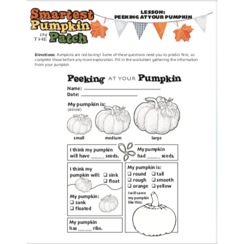 Pumpkin Curriculum Materials