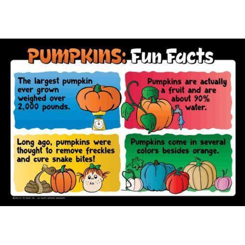Pumpkin Education Sign – Fun Facts