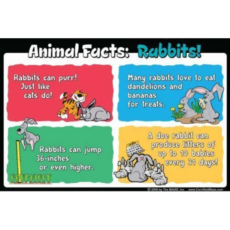 Rabbit Education Sign
