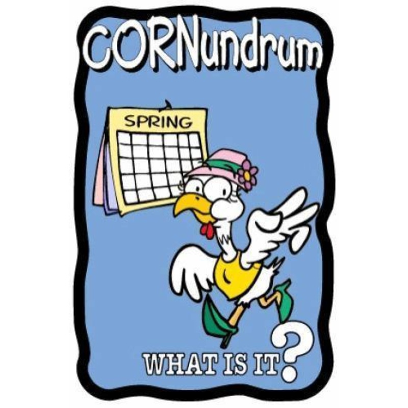 Spring Chicken Cornundrum