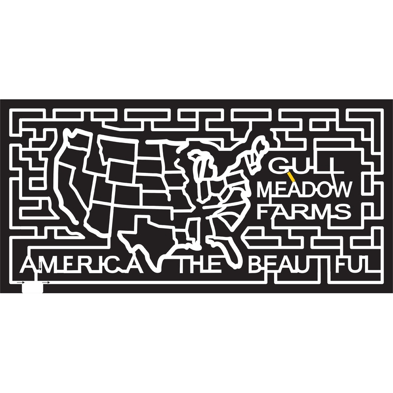 06_MI_Richland Michigan, country, shape, America, United States