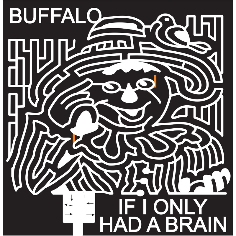 06_NY_Buffalo B New York, Scarecrow, crow