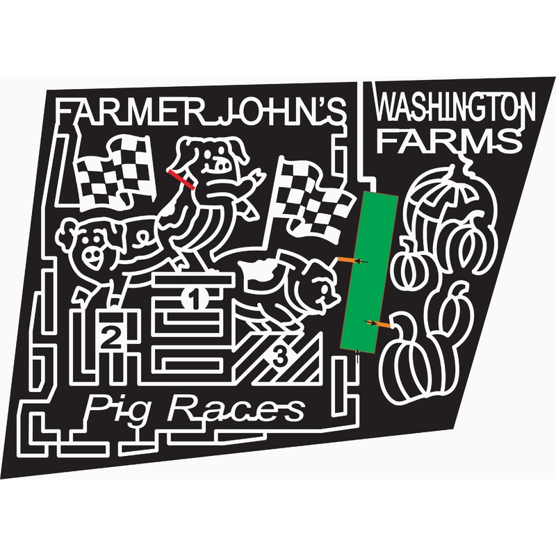 07_GA_Watkinsville Georgia, Pig, Racing, Checkered, Flag, Pumpkin, Animal, .jpg
