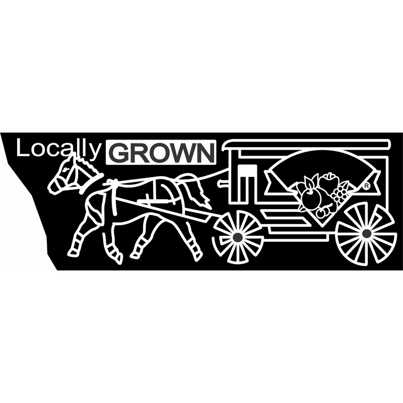07_ME_Dayton B Maine, Horse, carriage, fruit, Grapes, Apple, local.jpg