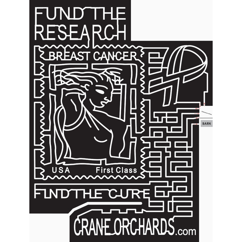 07_MI_Fennville Michigan, Breast Cancer, Cancer, Ribbon, stamp, cure.jpg