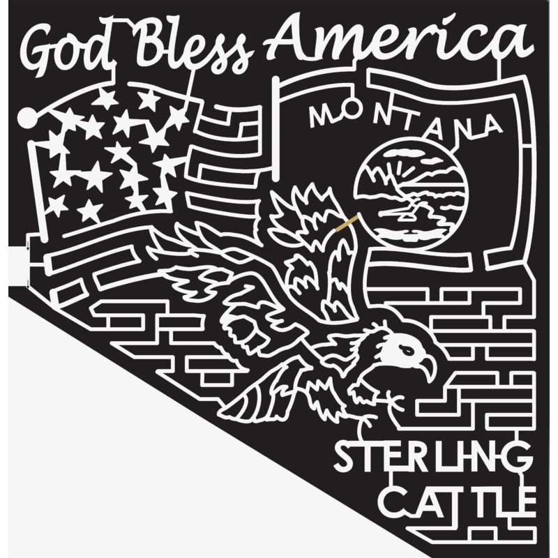 07_MT_Wolfcreek Montana, Flag, America, Eagle, Animal.jpg