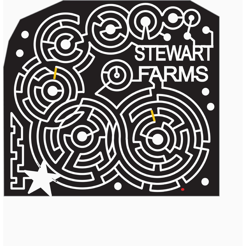 07_SC_Enoree_A South Carolina, crop circle, Circle, star.jpg